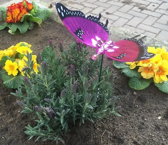 Couette-café Newsham Grange Farm 4*