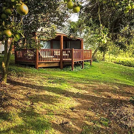 Alojamento de Acomodação e Pequeno-almoço Newsham Grange Farm 4*