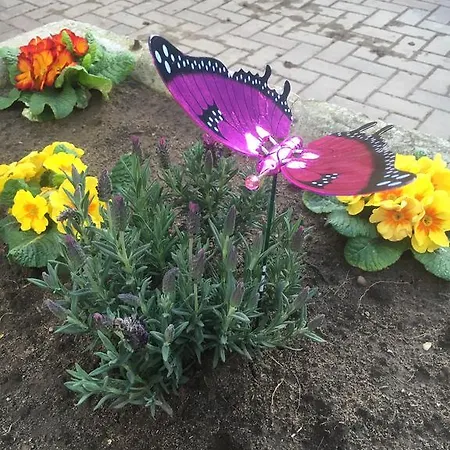 Bed & Breakfast Newsham Grange Farm 4*