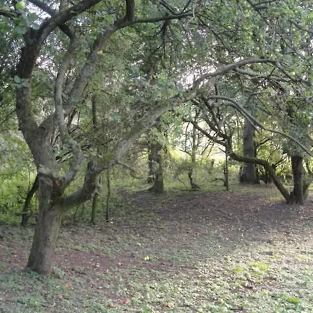 فندق مبيت وإفطار Newsham Grange Farm ثيرسك